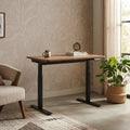 Modern Ergonomic Standing Desk