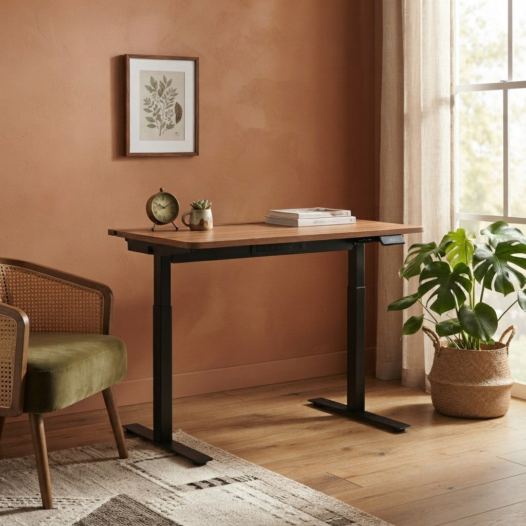Modern Ergonomic Standing Desk